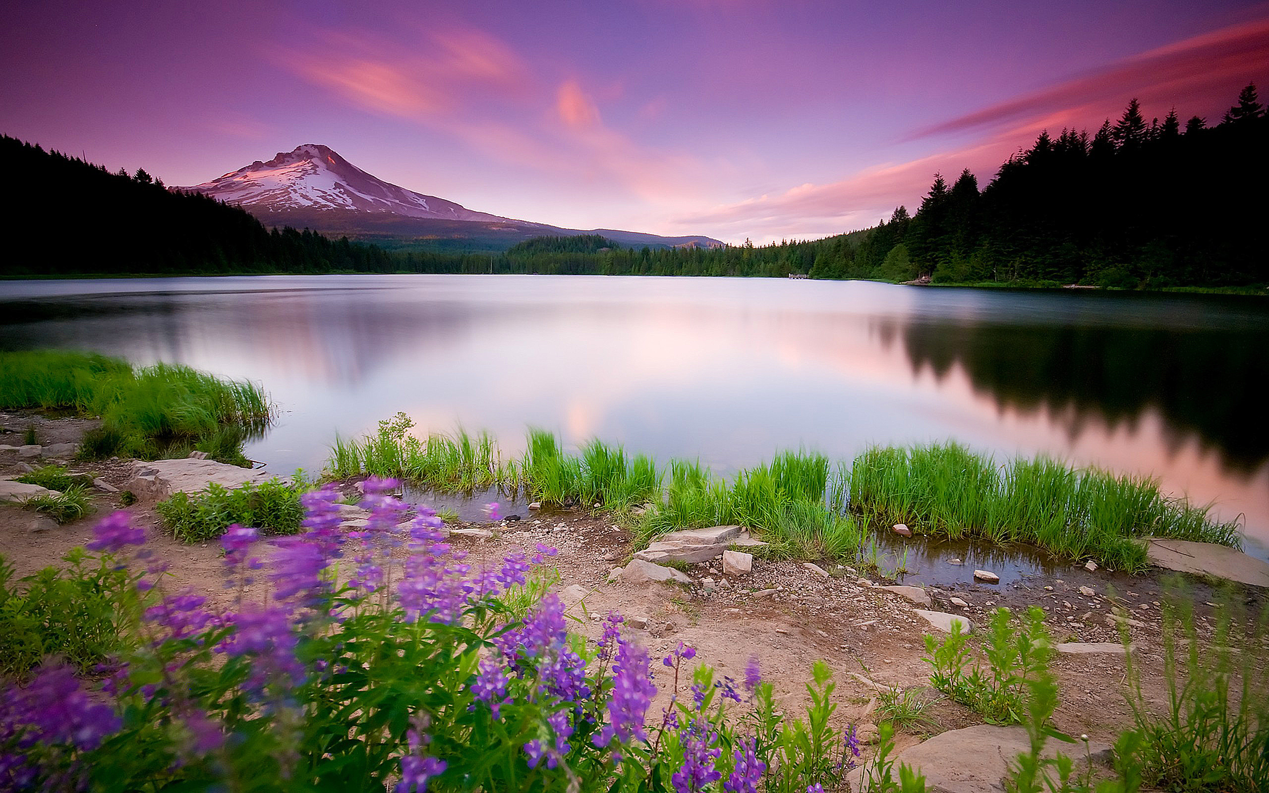 14 Awesome Nature \u0026 Landscape Wallpapers  Project 4 Gallery