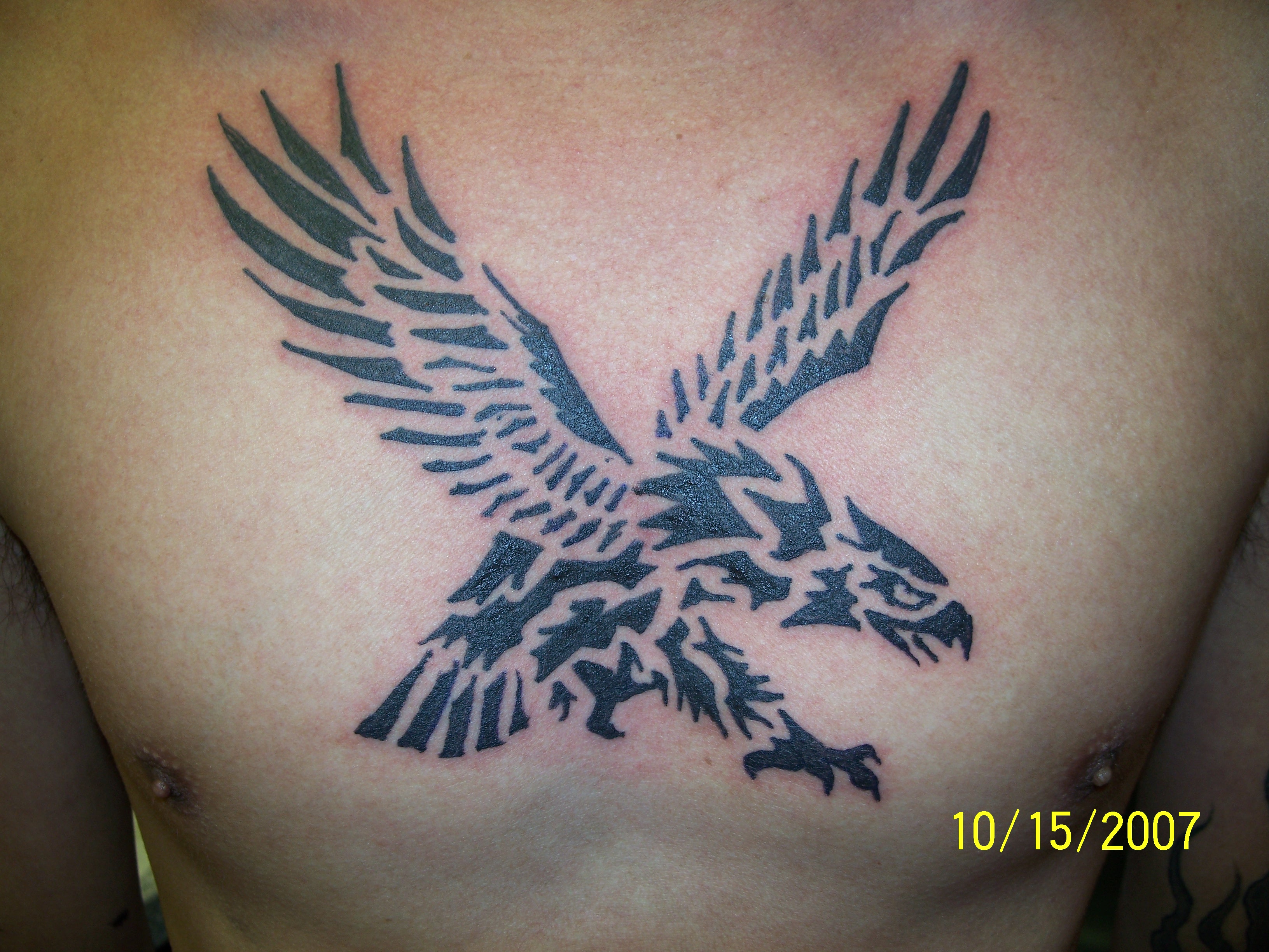 classic eagle tattoos for eagle lovers project 4 gallery classic eagle tattoos for eagle lovers project 4 gallery