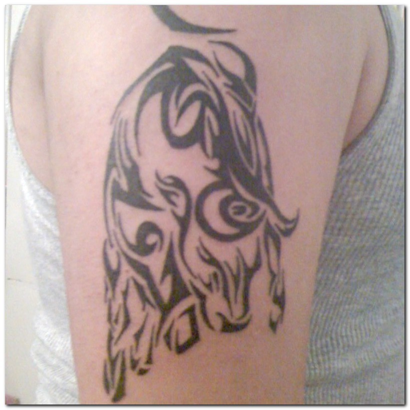 taurus tattoos design images beauty amp style project 4 taurus tattoos design images beauty amp style project 4