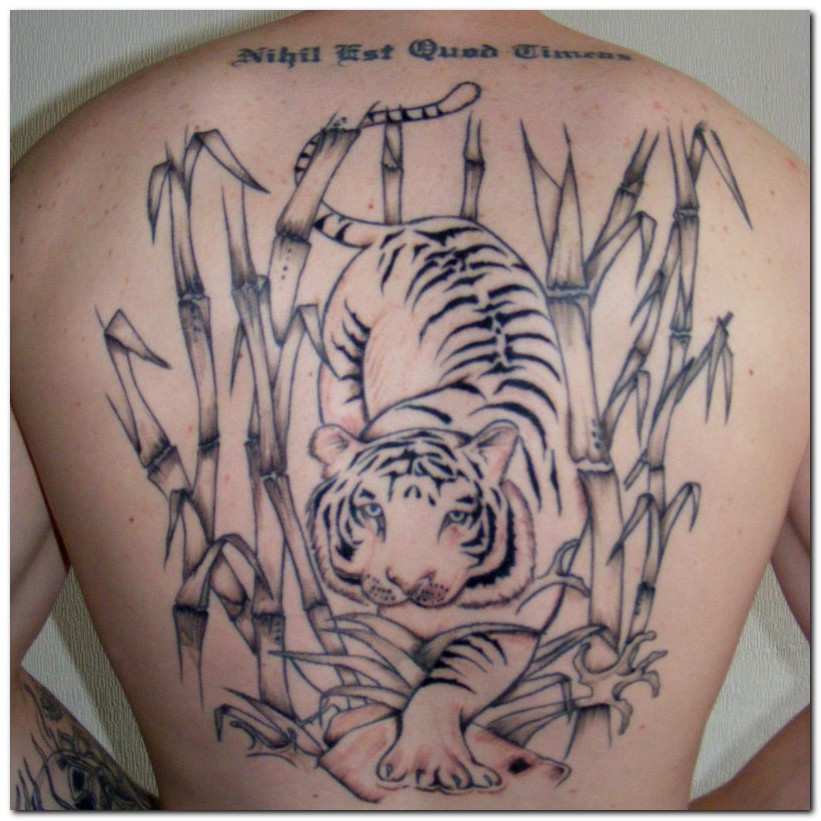 tiger tattoo design images beauty u0026 style project 4 gallery tiger tattoo design images beauty u0026 style project 4 gallery